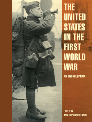 cover image of The United States in the First World War